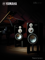 Yamaha - Catalog - 2025 NS-5000 